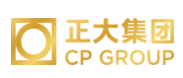 云城正大集团