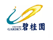 云城碧桂园地产